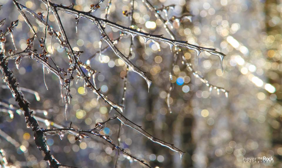 Ice Bling | Shutterbug